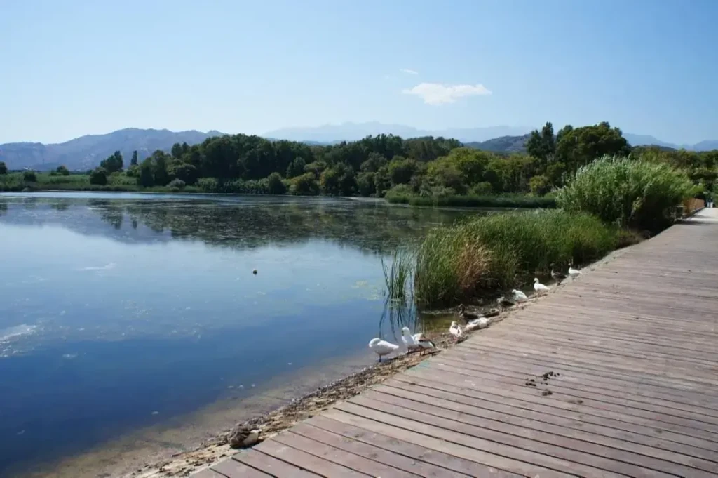 Lake Agia Tour