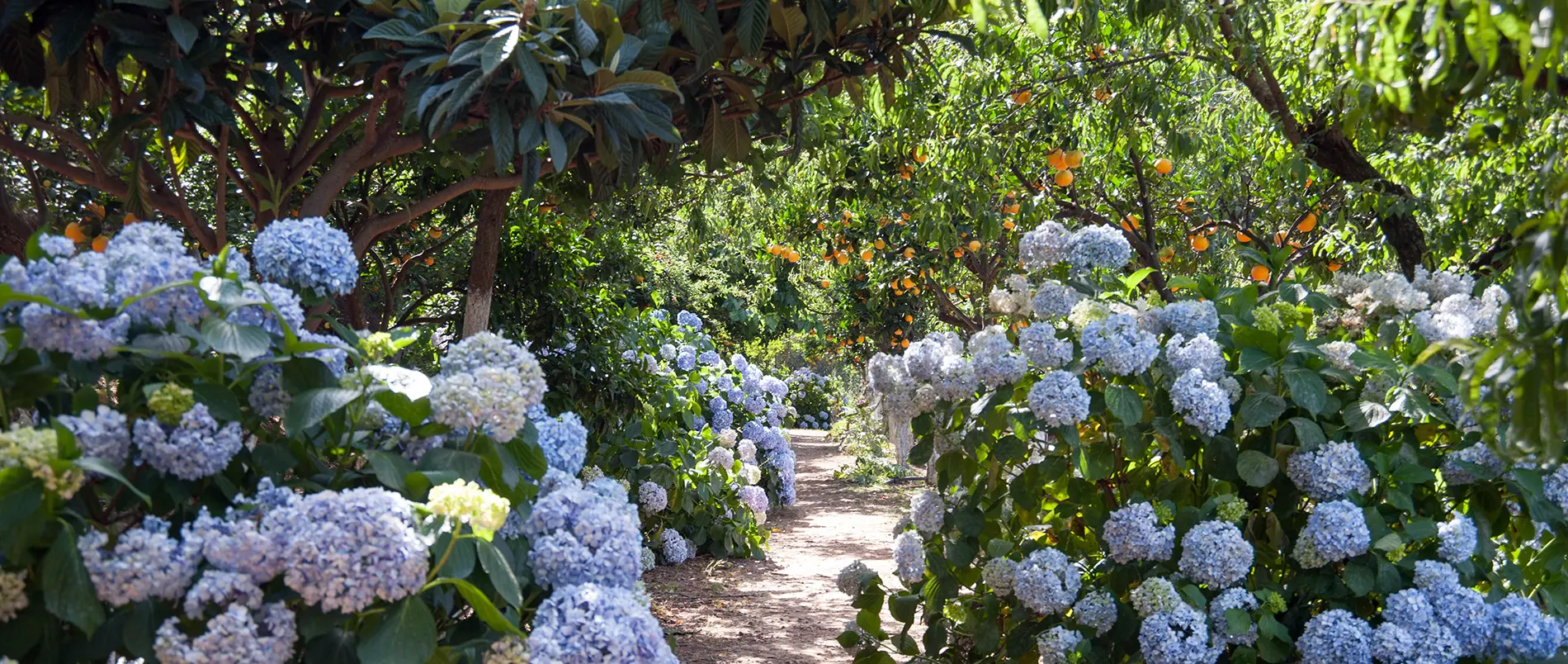 botanical garden of crete