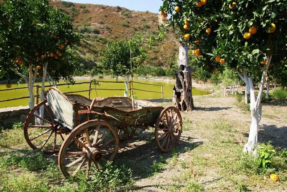 botanical park of crete