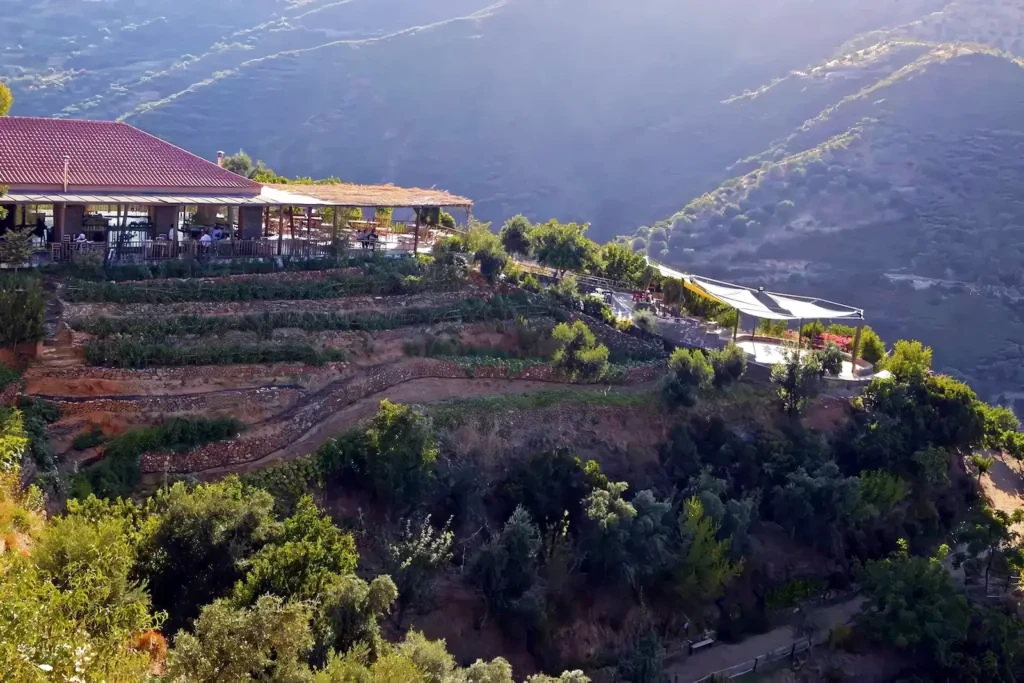 botanical-restaurant-view