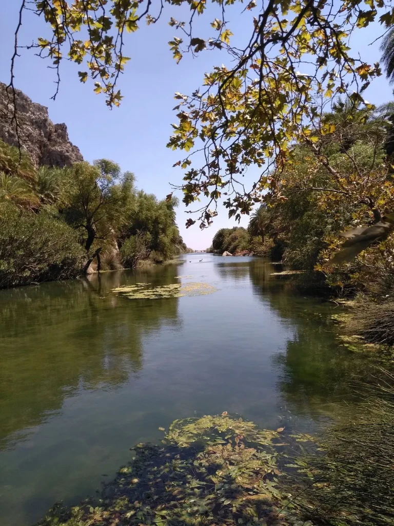 kourtaliotiko gorge inside
