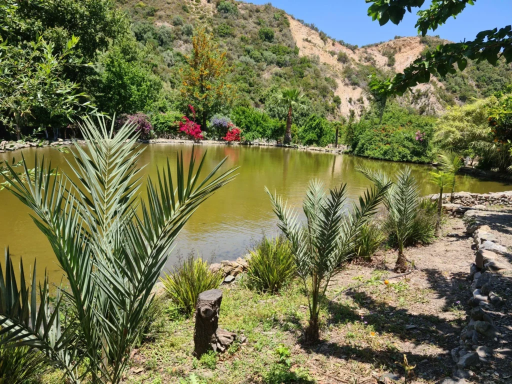lake in botanical gerden of crete