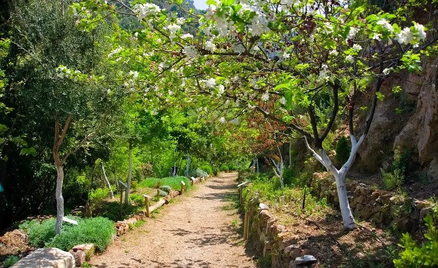 path in botanical gerden of crete