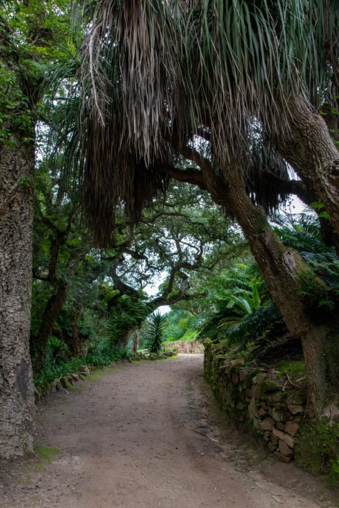 path in botanical garden_3