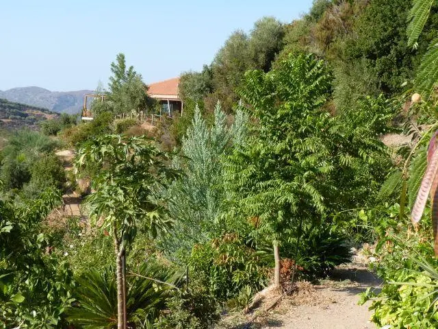 path in botanical garden_1