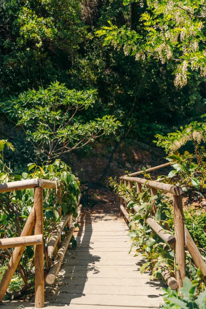 path in botanical garden_2
