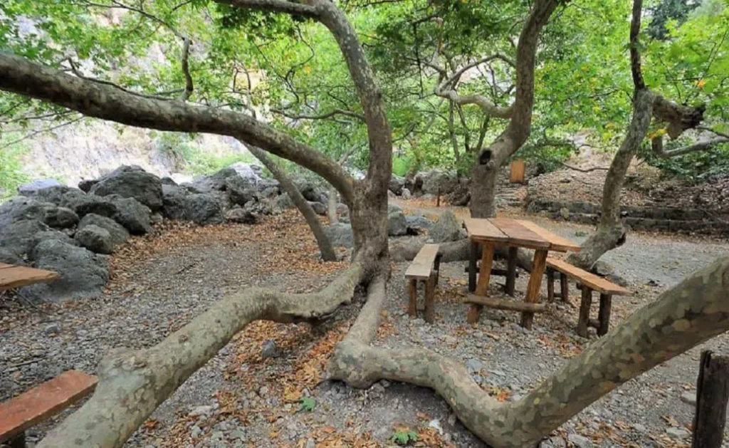 agia irini rest