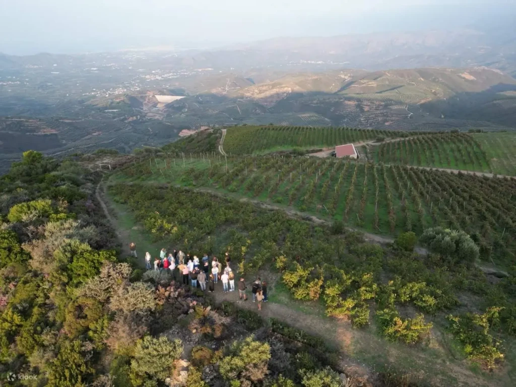 manousakis harvest