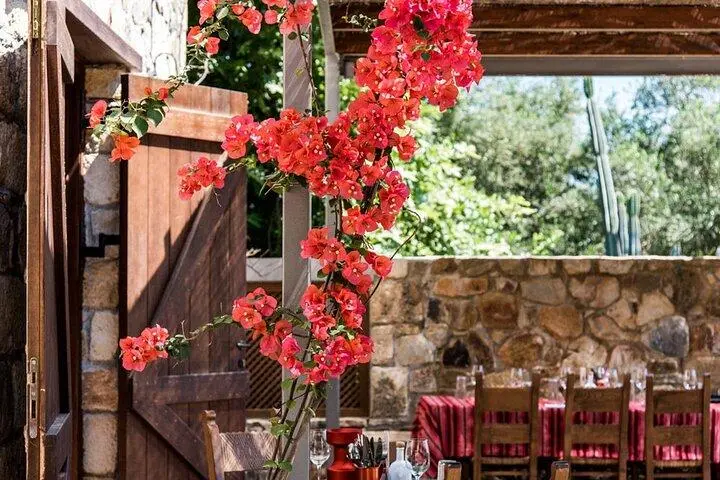 manousakis winery yard