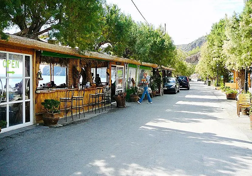 local taverns in sougia