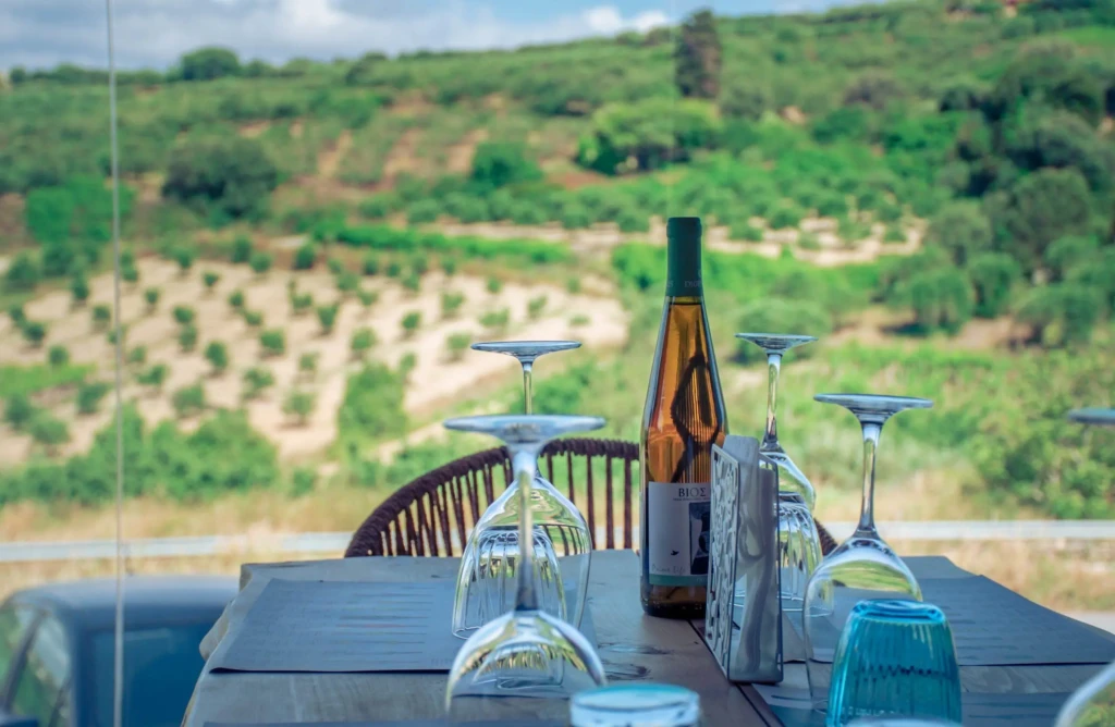 wine tasting