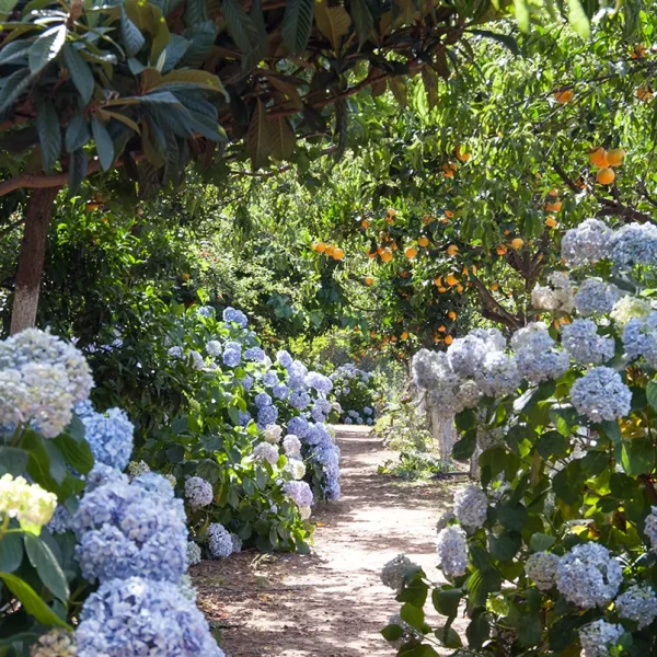 botanical garden of crete